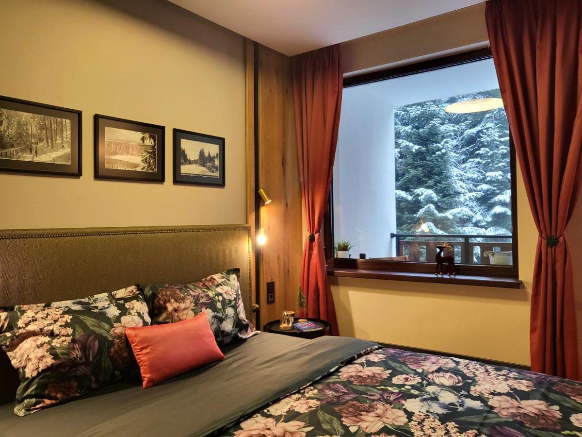 Pinewood Ang Luxurious Apartment A32 波罗维茨 外观 照片